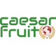 Caesar Fruit logo